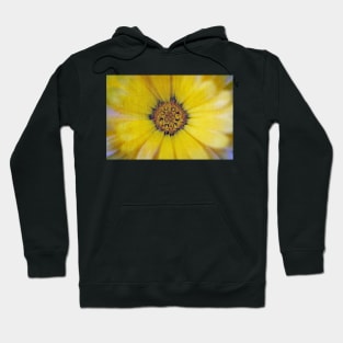 Find out where joy resides... Hoodie